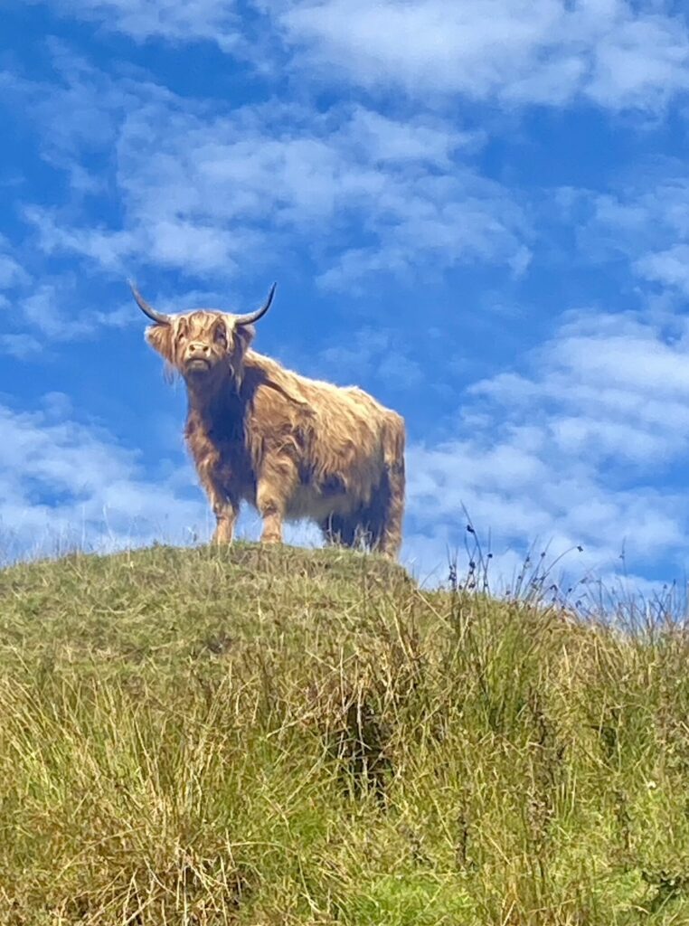 West Highland Way dag 2_3