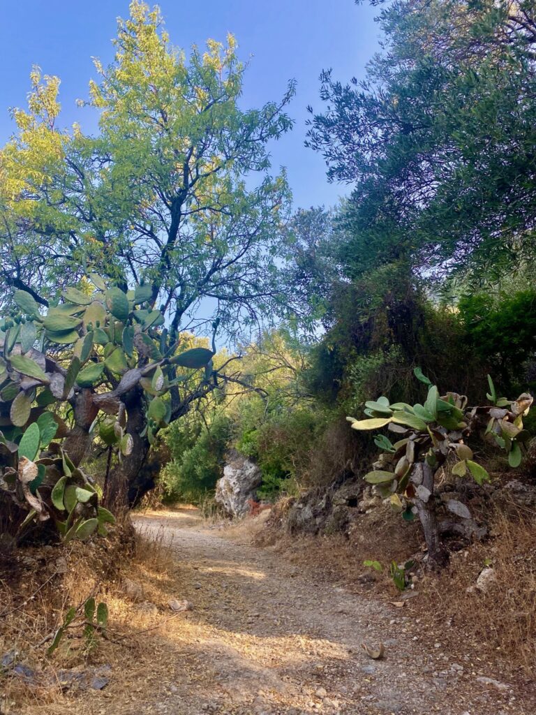 Corfu Trail dag 5_2