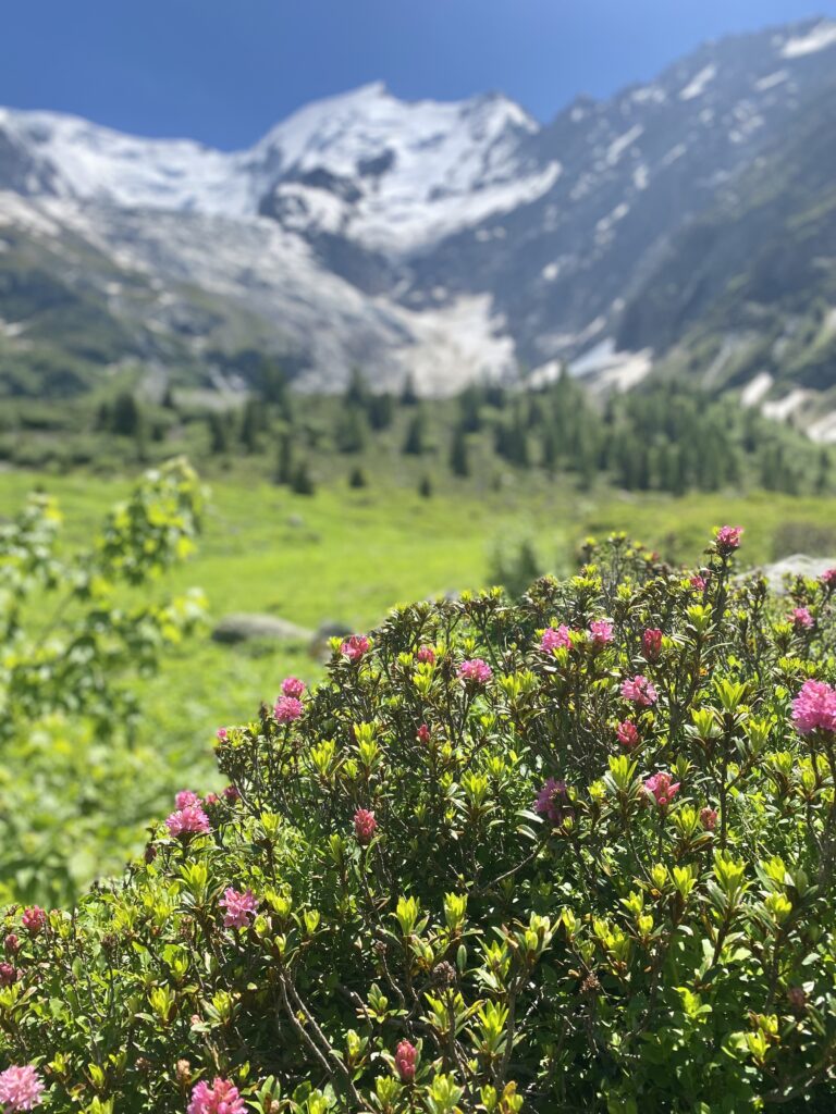 Tour Mont Blanc etape 1