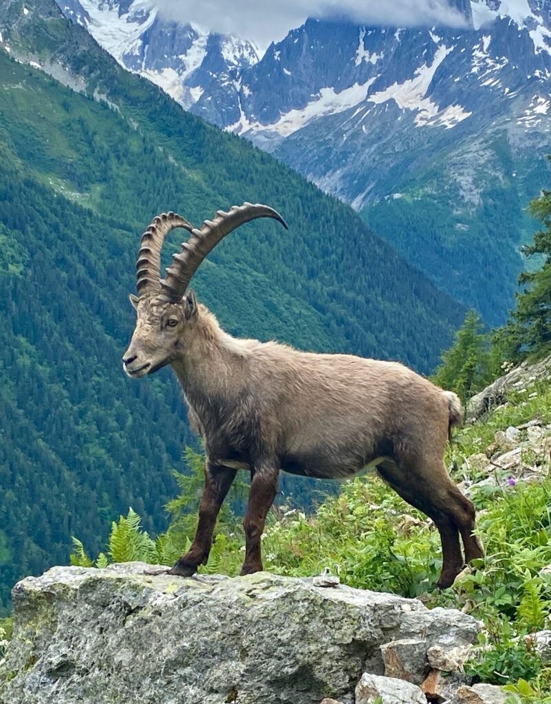 Tour Mont Blanc etape 10