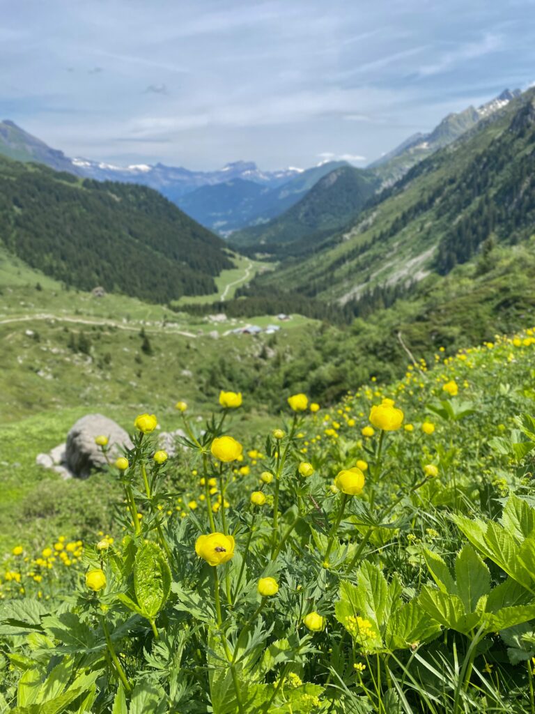 Tour Mont Blanc etape 2