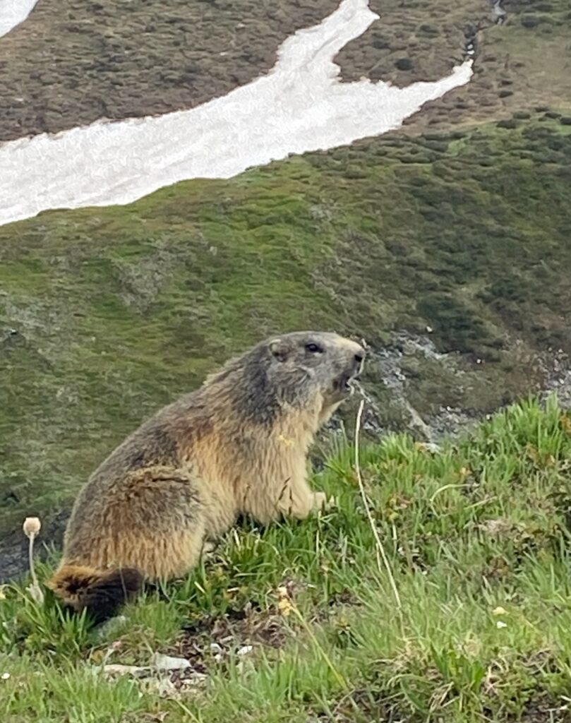 Tour Mont Blanc etape 3