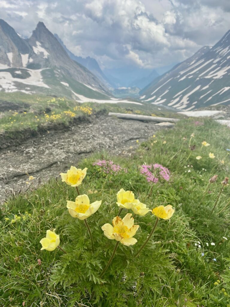 Tour Mont Blanc etape 3