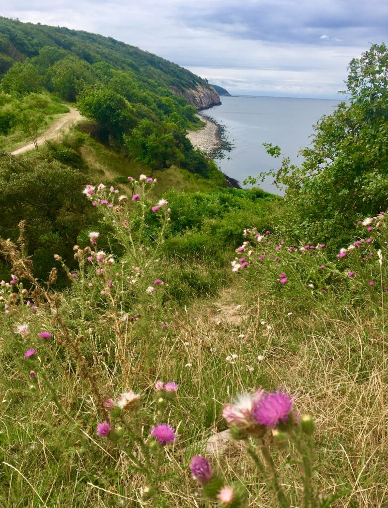 Tankeskridt Bornholm Rundt