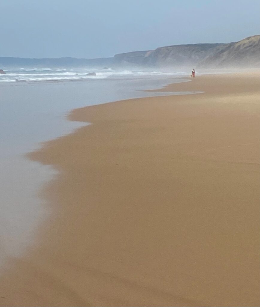 Rota Vicentina etape 10 Arrifana - Carrapatrira