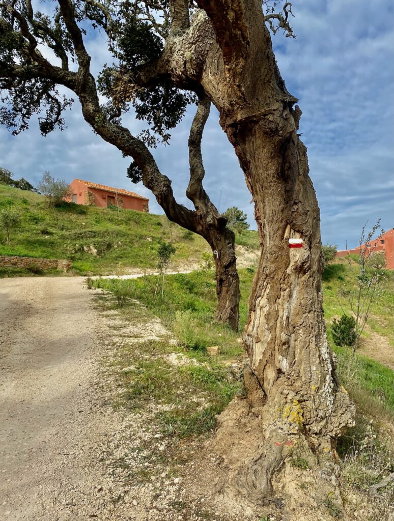 Rota Vicentina etape 9 Aljezur - Arrifana