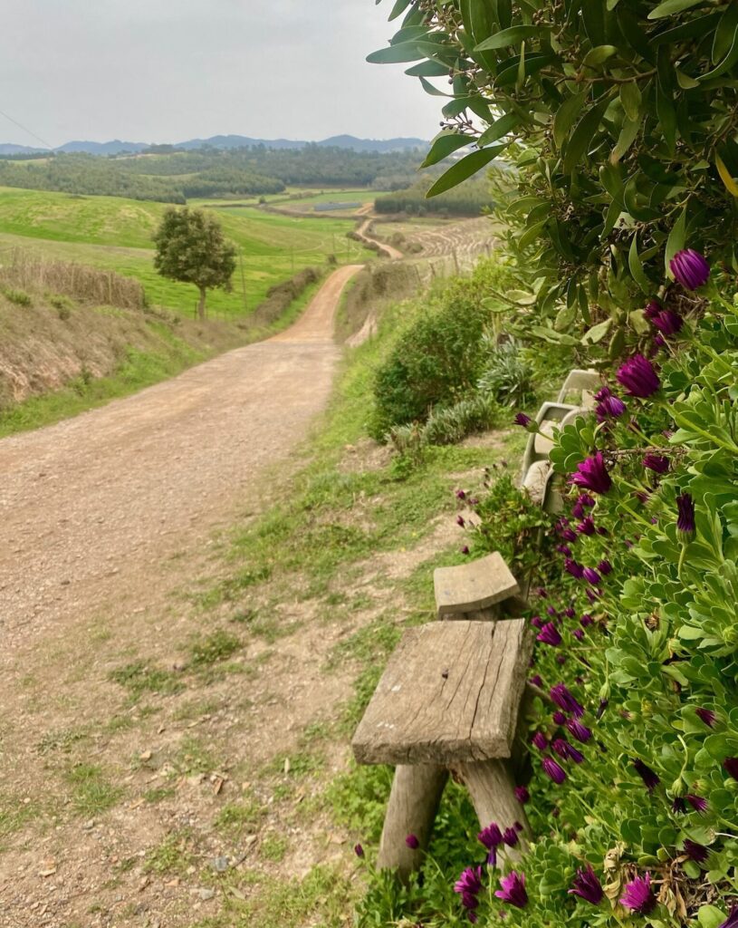 Rota Vicentina etape 2