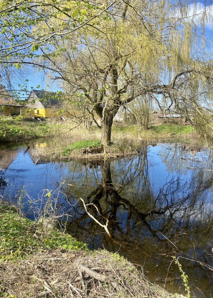 Tankeskridt_Halsninoen