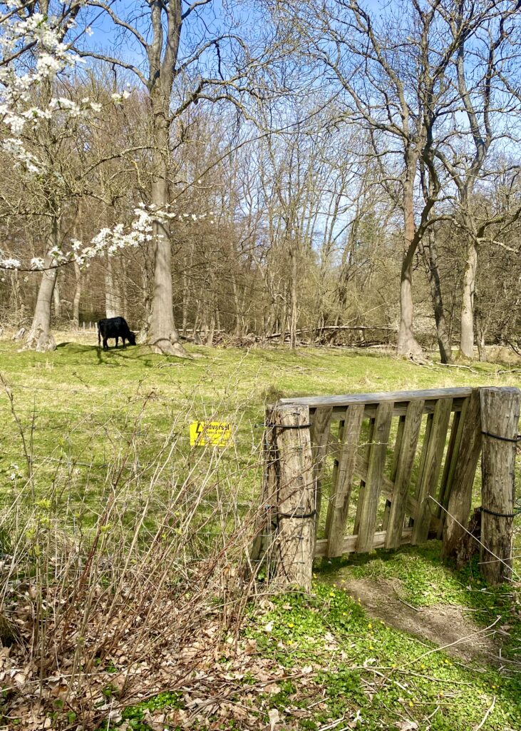 Tankeskridt_Furesø Rundt