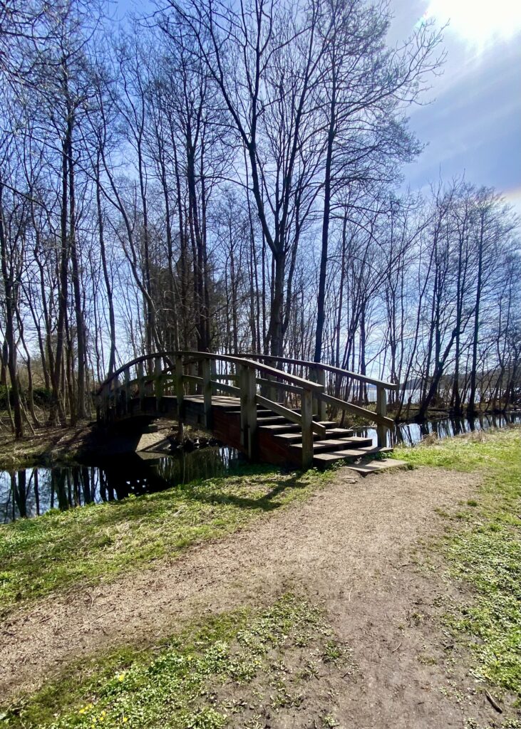 Tankeskridt_Furesø Rundt