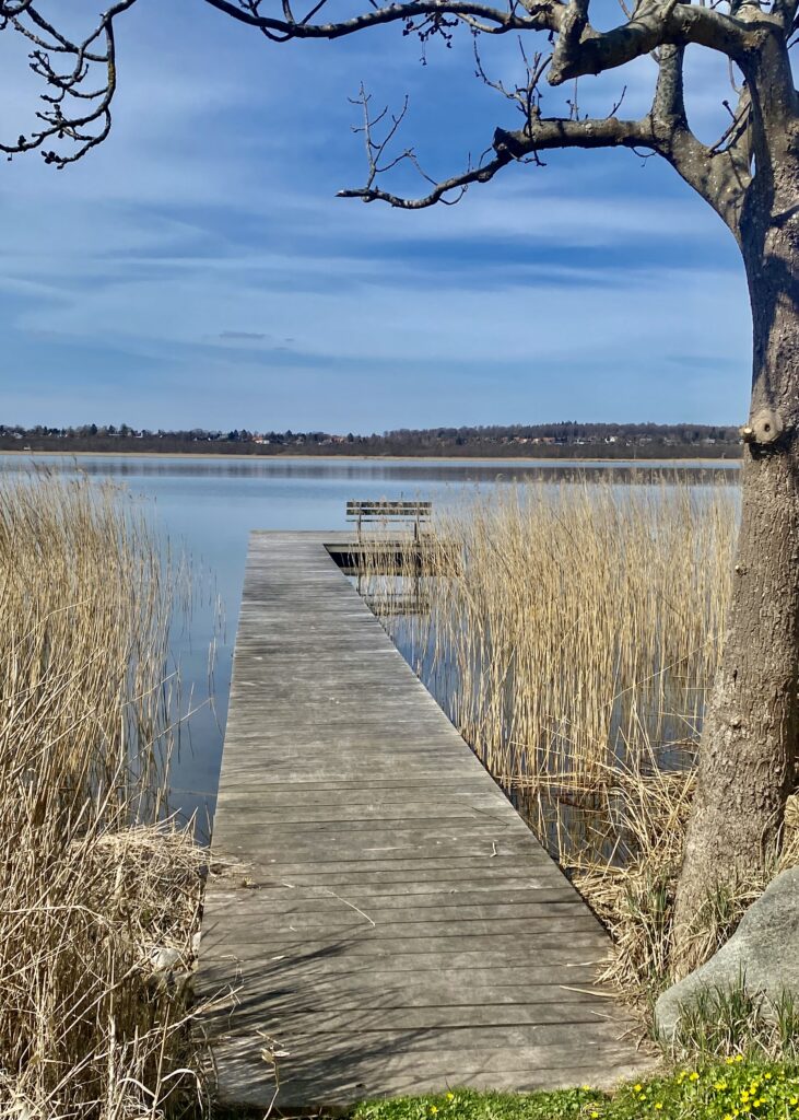 Tankeskridt_Furesø Rundt