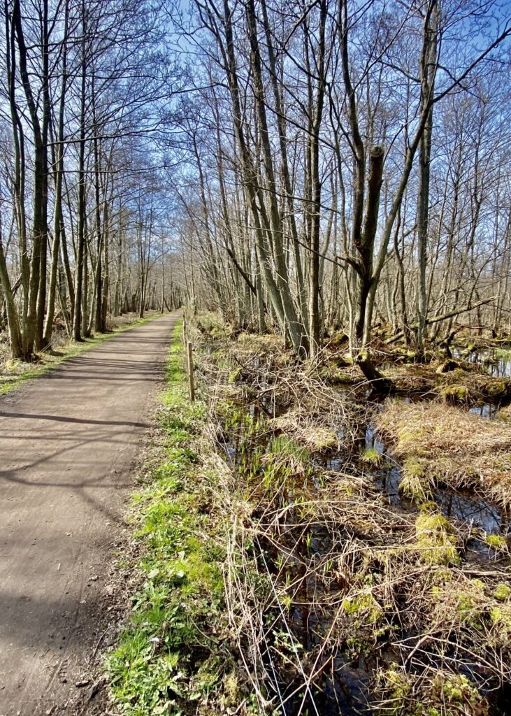 Tankeskridt_Furesø Rundt