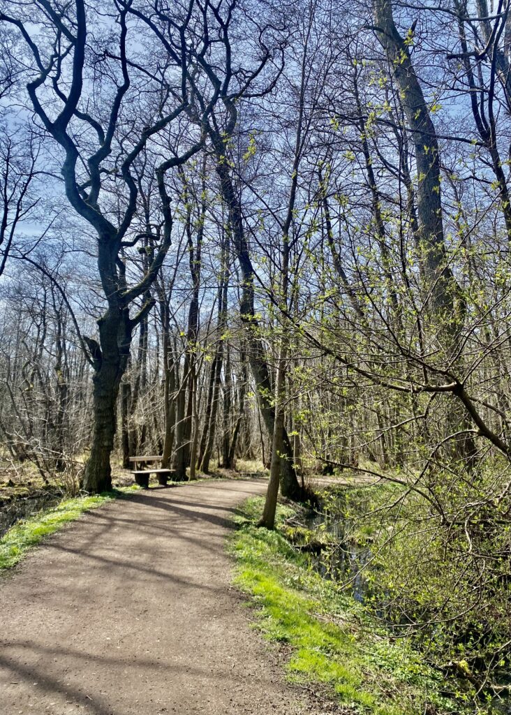 Tankeskridt_Furesø Rundt