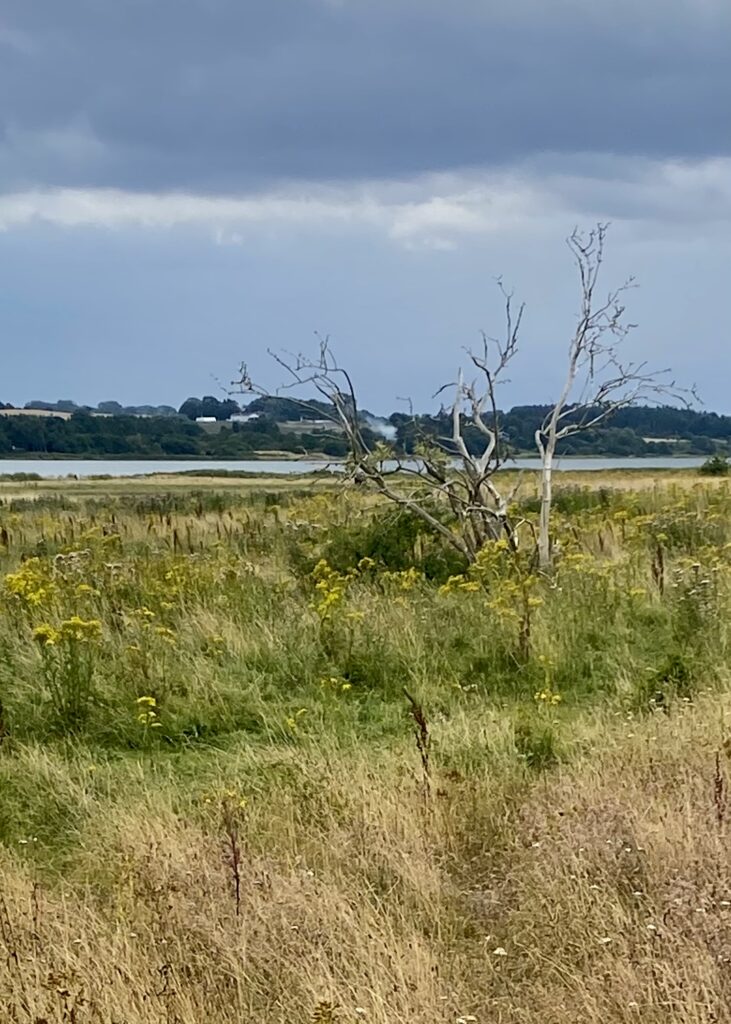 Tankeskridt_Orø