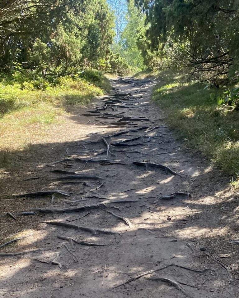 Tankeskridt_Kullen_Hov Hallar