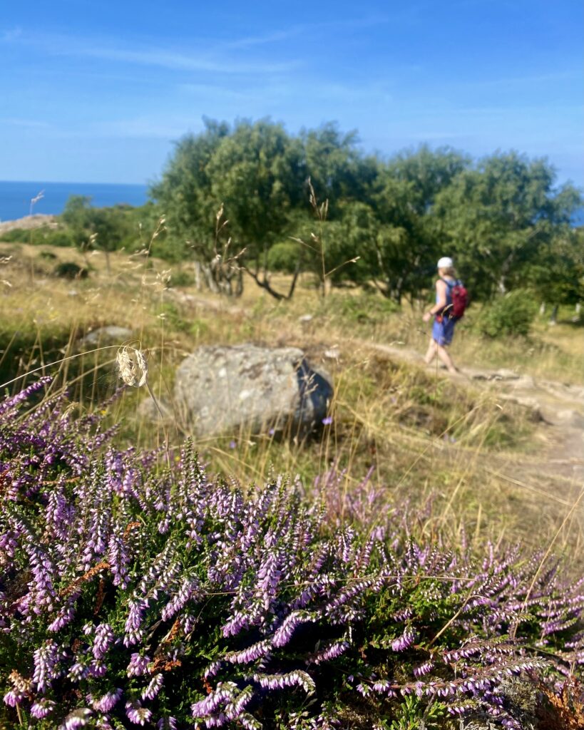 Tankeskridt_Kullen_Hovs Hallar