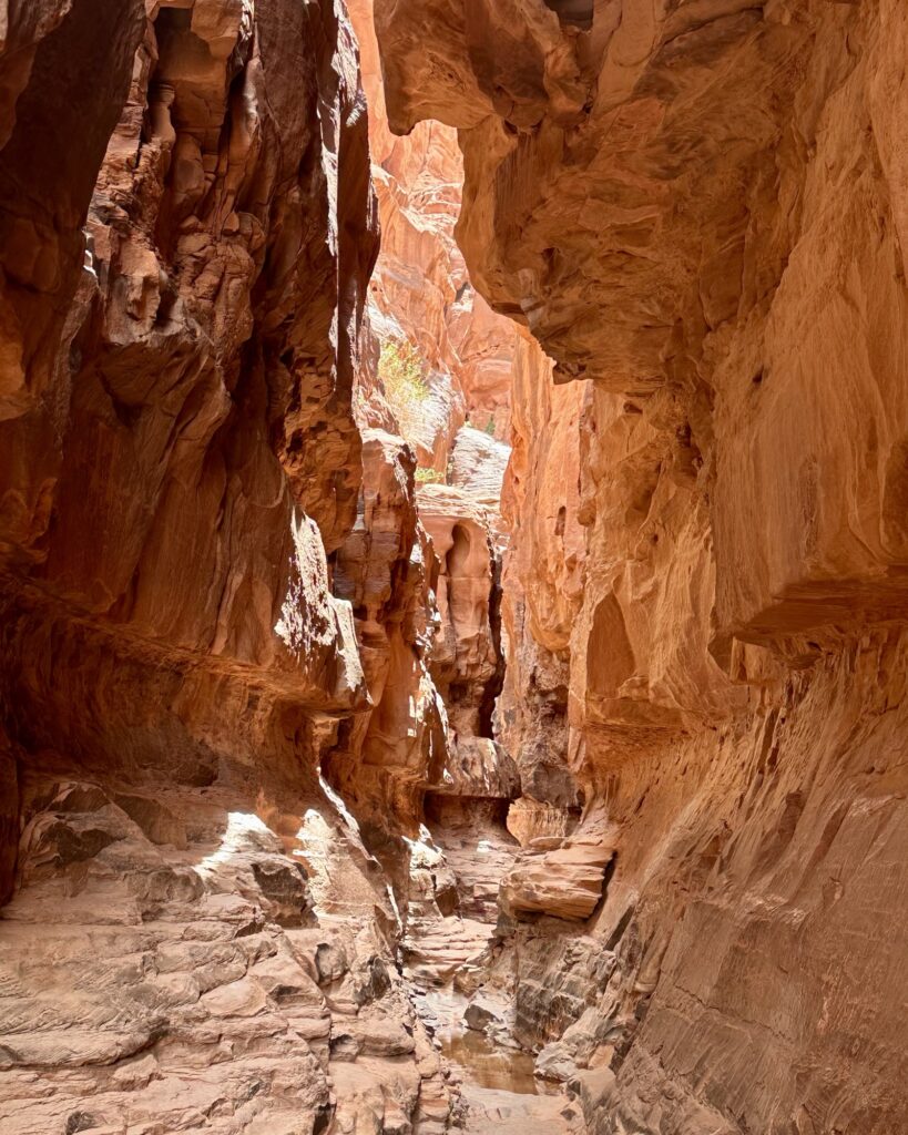 Tankskridt_Jordan Trail_Inge Færch_Wadi Rum