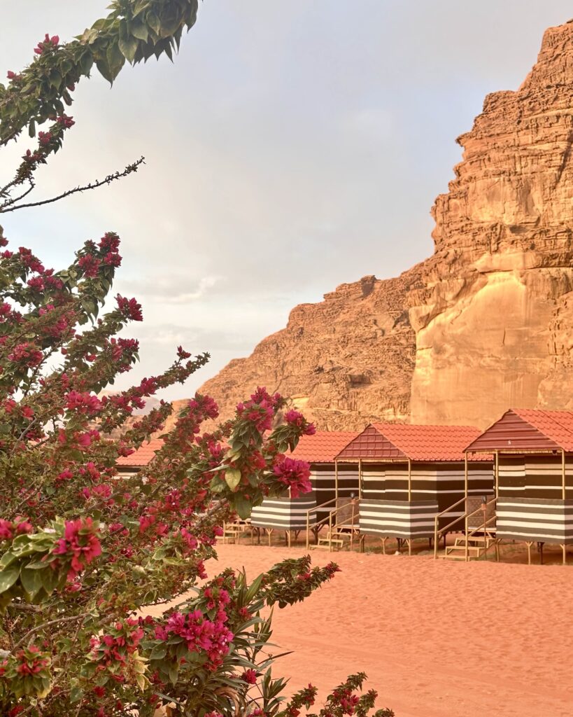 Tankskridt_Jordan Trail_Inge Færch_Wadi Rum_glamping